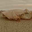 The first official plastic bags ban