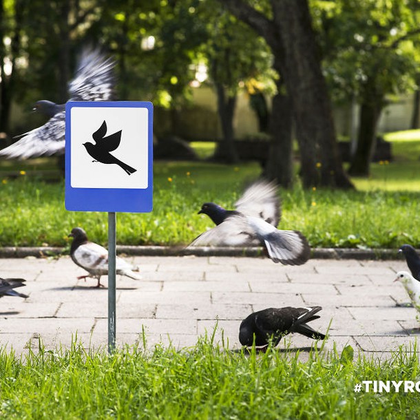 tinyroadsign-road-signs-for-animals1__880
