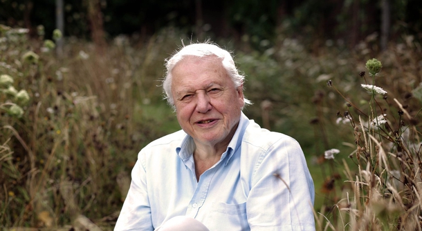 Sir David Attenborough campaigning for cheaper fossil fuels
