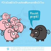 because-animals-can-get-upset-too-the-upset-animals-cartoons-5__880
