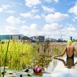 Take a dip into UK's first natural public swimming pool