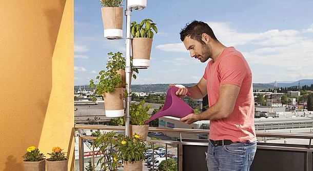 Urban Planty: bring nature to your home