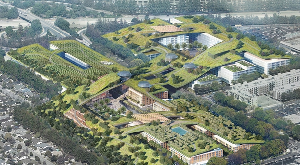 Sustainable living: building the largest green roof in the world