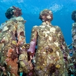 Underwater art: Silent Evolution Sculptures are getting dressed into corals
