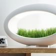 Grasslamp: Bring nature to your desk