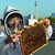 Erika Mayr, the bee whisperer: "Urban honey comes with a very special aroma and flavor"