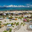 More plastic than fish will swim in the oceans by 2050