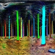 Psychedelic rainbow trees with a help of 3D laser scanner