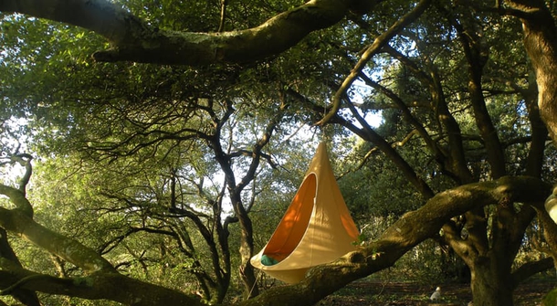 Cacoon: Hang your nest