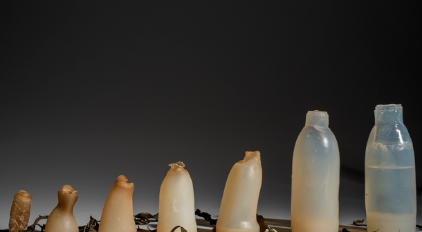 Algae to the rescue: biodegradable water bottles by Ari Jónsson