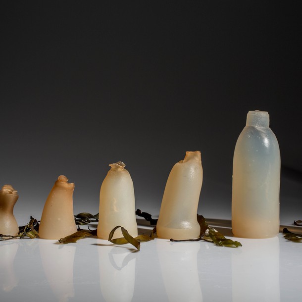 algae-water-bottle-by-ari-jonsson-designmarch_dezeen_ban