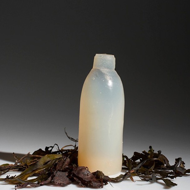 biodegradable-algae-water-bottle-ari-jonsson-4