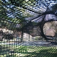 The spiral tube lets you climb through the trees