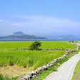 South Korea joins the race for the world's first carbon-free island