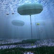 Australian CETO, the ocean wave energy plant, set a record for being operational for 14,000 hours