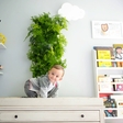 Freshen up your room with a smart vertical indoor garden