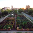 America's First Sustainable Urban Agrihood