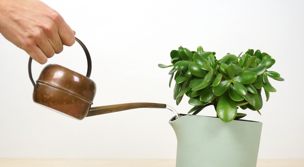 A perfect solution for when you're on vacation: a self-watering flowerpot by Studio Lorier